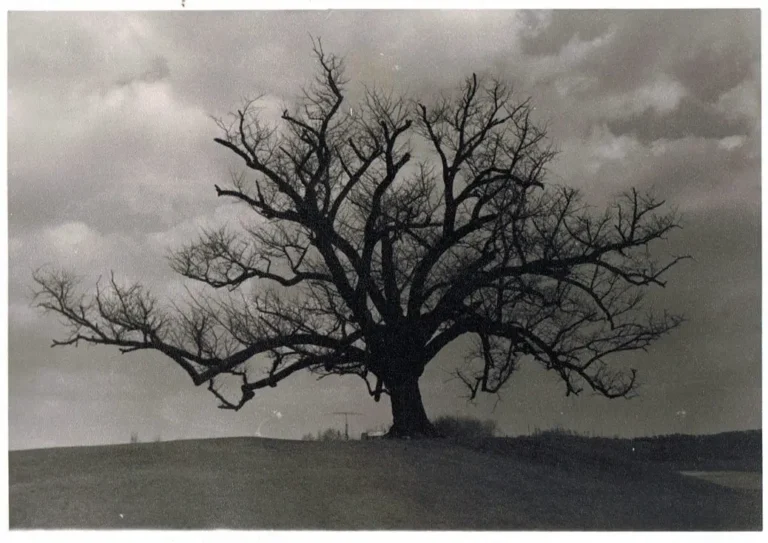 Spirit Loci: Where Evil Spirits Visit