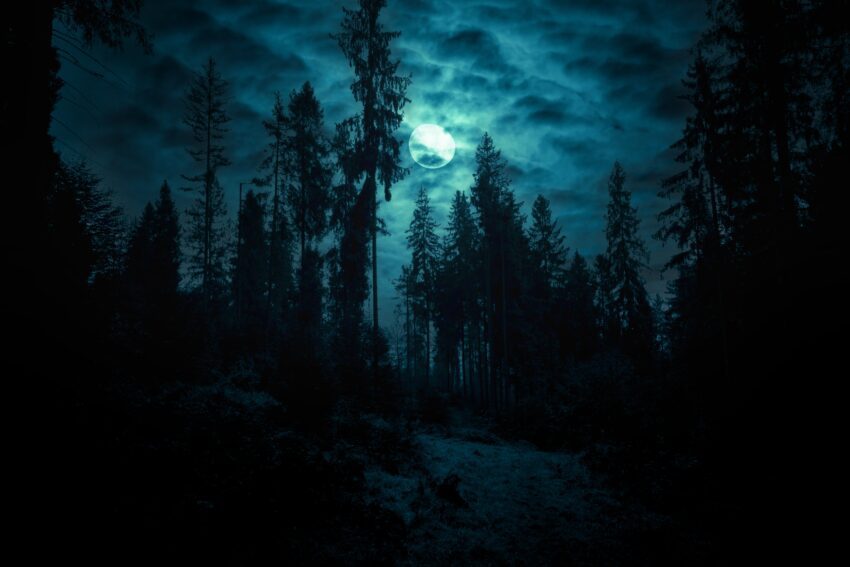 5 spooky stories from Ghostly Activities readers and listeners